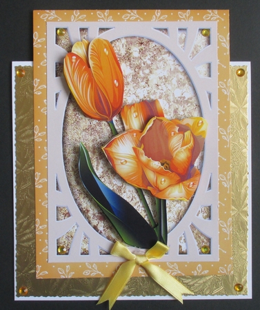 Flower Stem Yellow Tulips by Davina Rundle