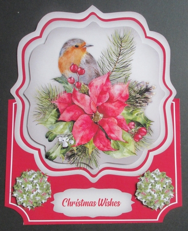 Over The Edge, Robin and Poinsettias by Davina Rundle