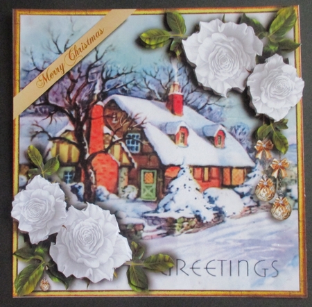 Christmas Roses - Snowy Cottage by Davina Rundle