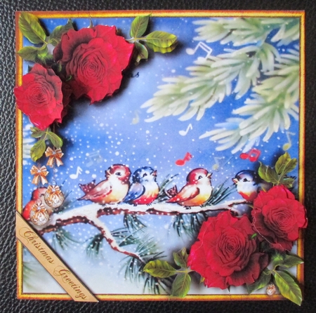 Christmas Roses - Robins red by Davina Rundle
