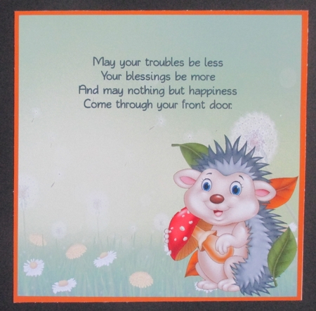 Prickly the Hedgehog new home insert by Davina Rundle
