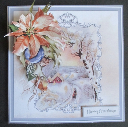 Ponsettia and bauble by Davina Rundle