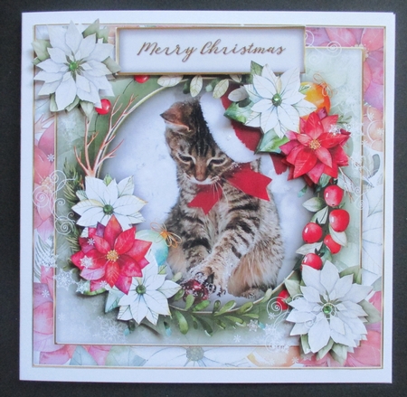 Christmas quick card collection by Davina Rundle
