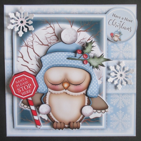 Santa Stop Here Ollie Owl Mini Kit by Davina Rundle