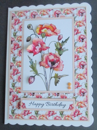 Lovely Watercolor Poppies  by Davina Rundle