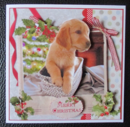 Christmas Golden Retriever Puppy in a Box Mini Kit by Davina Rundle