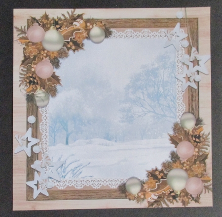 Gorgeous Brown Winter Insert Blank 8x8 by Davina Rundle