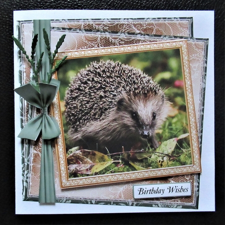 MULTI SENTIMENTS STASH HEDGEHOG by Davina Rundle