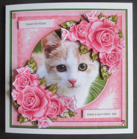 Purrrfect Pink Roses Mini Kit by Davina Rundle