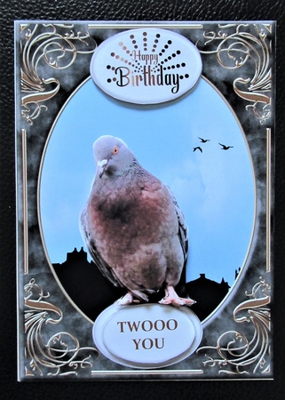 Pigeon Street mini kit by Davina Rundle