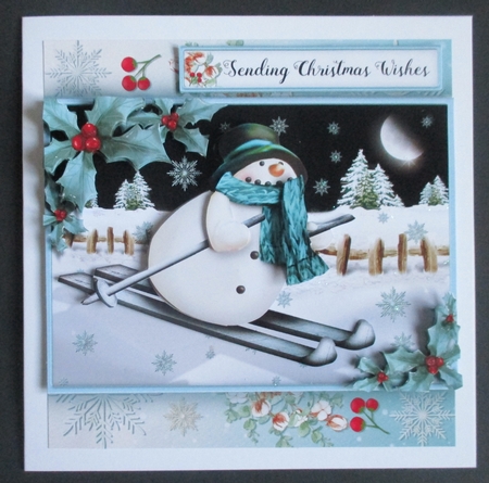 The Skiing Snowman by Davina Rundle