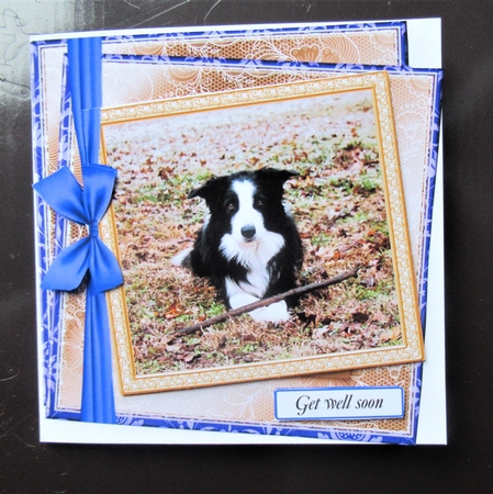 GENERIC MULTI SENTIMENTS COLLIE by Davina Rundle