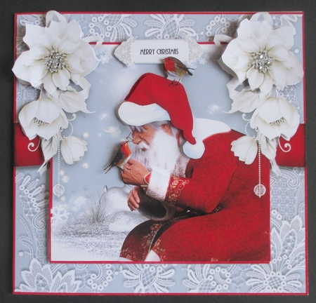 Santas Robins  by Davina Rundle
