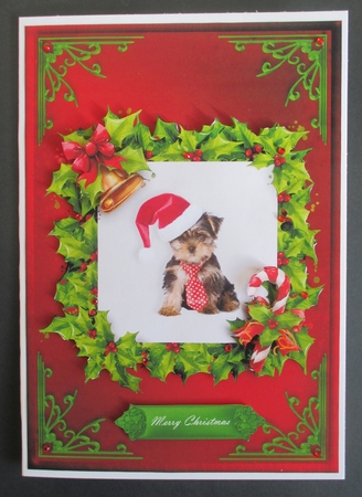 Puppy Christmas Card Front Red 5 by Davina Rundle