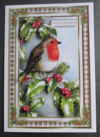 Christmas Robin soft green framed decoupage Topper by Davina Rundle