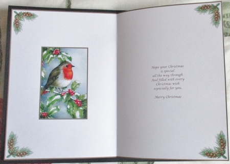 Christmas Robin Insert 2 by Davina Rundle