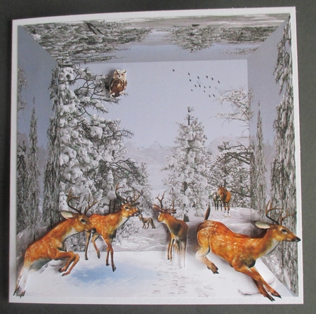 3d winter by Davina Rundle