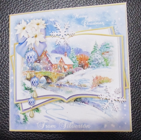 River Cottage at Christmas Topper and Minis by Davina Rundle