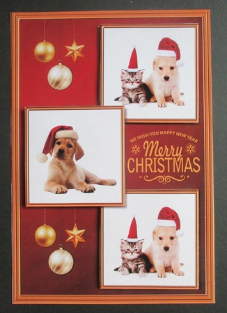 Christmas Animal 3 squared card front 2 by Davina Rundle