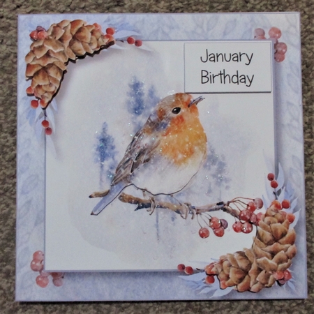 Snowy Robin - Watercolour Winter Woodlands by Davina Rundle