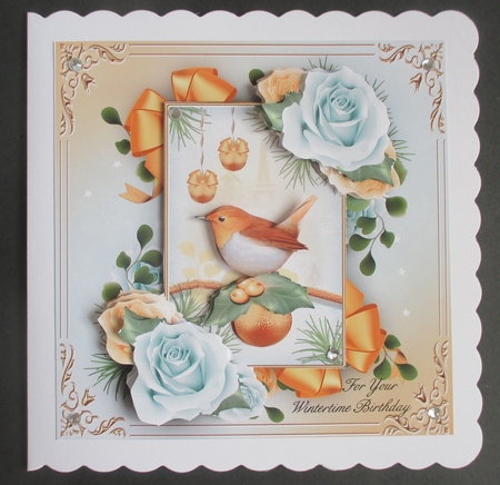 Winter Christmas Robin Bird with Roses Mini Kit by Davina Rundle