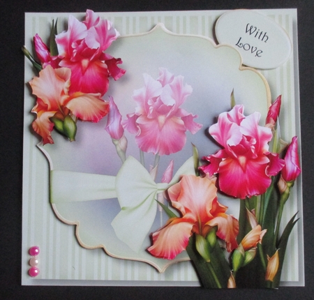 Blush Iris Beauty by Davina Rundle