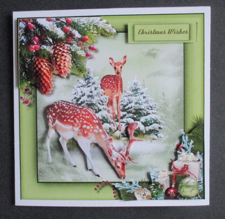 Deer in the Snow  by Davina Rundle