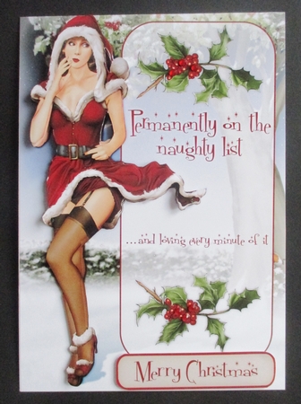 Naughty List by Davina Rundle