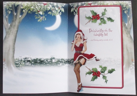 Naughty List Insert by Davina Rundle
