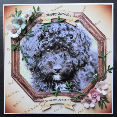 HEXAGON CATS & DOGS BLACK POODLE CROSS by Davina Rundle