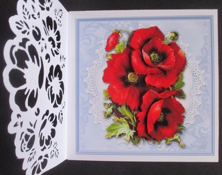 Lovely red poppies on vintage lace doily (blue) by Davina Rundle