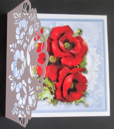 Lovely red poppies on vintage lace doily (blue) by Davina Rundle