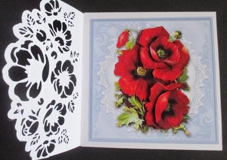 Lovely red poppies on vintage lace doily (blue) by Davina Rundle