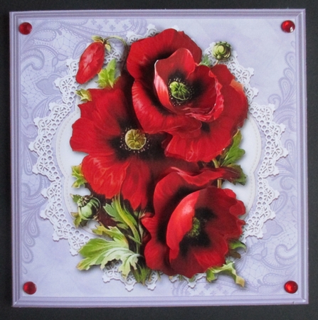 Lovely red poppies on vintage lace doily (purple) by Davina Rundle