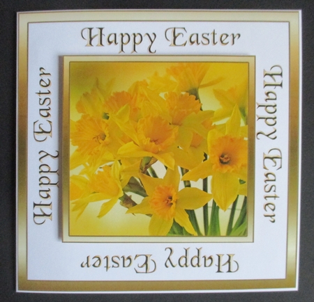 SC Easter Daffodils by Davina Rundle