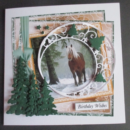 NEW TWISTED FRAME MULTI SENTIMENT PALAMINO IN SNOW by Davina Rundle