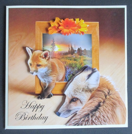 foxy birthday by Davina Rundle
