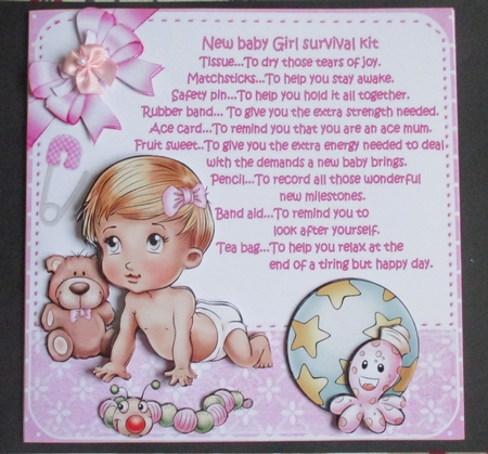 8x8 new baby girl survival kit mini kit by Davina Rundle