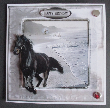 black horse by Davina Rundle