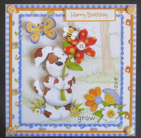 Finneys dogs garden by Davina Rundle