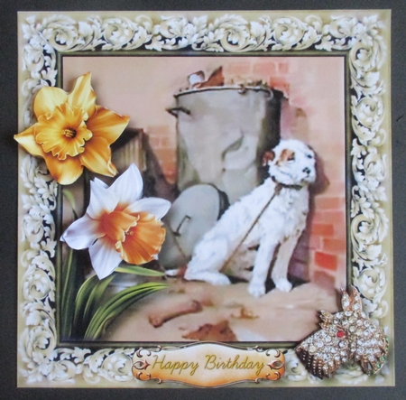 Be Kind - Not even to a Dog by Davina Rundle