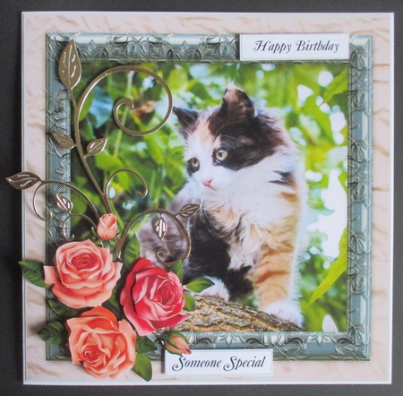 MINT GREEN MULTI SENTIMENT FLUFFY MULTI COLOURED KITTEN by Davina Rundle