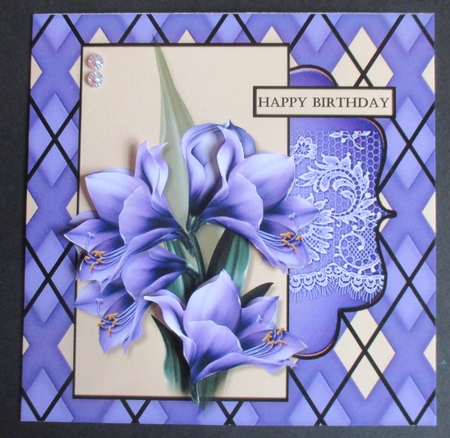 Male card Amaryllis by Davina Rundle