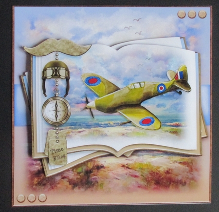 Time Flies Open Book  by Davina Rundle