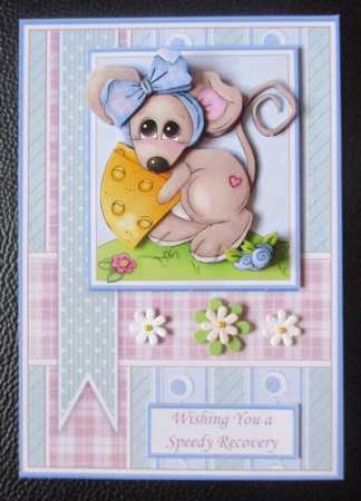 MATURED TO PERFECTION Humorous A5 Decoupage & Insert by Davina Rundle