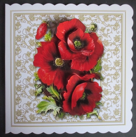 Lovely Red Poppies  by Davina Rundle