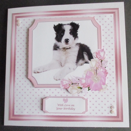 8 x 8 cute dog card front with insert and matching gift tag. by Davina Rundle
