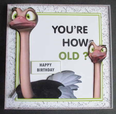 Youre How Old??? by Davina Rundle