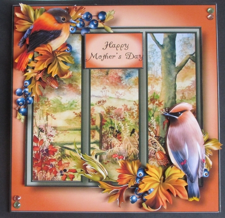Scenic Trio - Autumn Woods by Davina Rundle