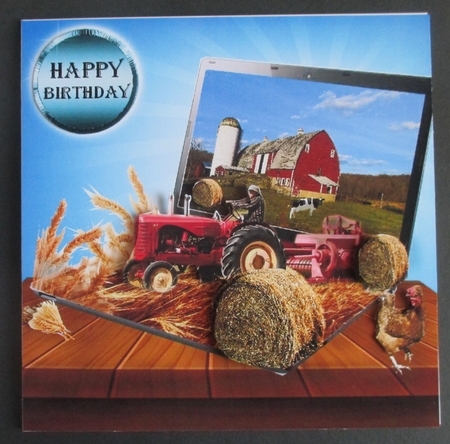 down on the farm by Davina Rundle